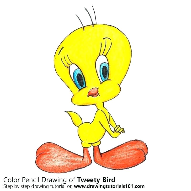 800x800 Draw Tweety Bird