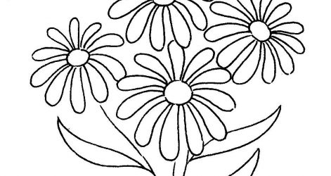 471x250 Daisy Flower Pencil Drawing Yellow Realistic Vector Images
