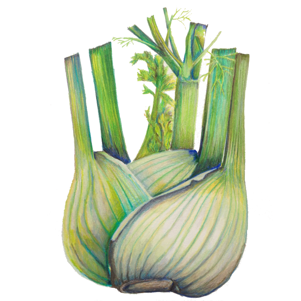 1000x1000 Drawing Gallery Art Food Culture