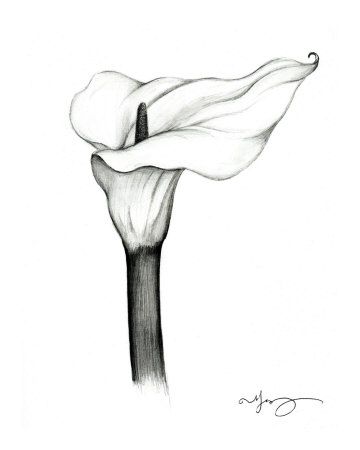 360x450 Melanie Vowles Drawingsketching Drawings, Pencil Drawings, Art