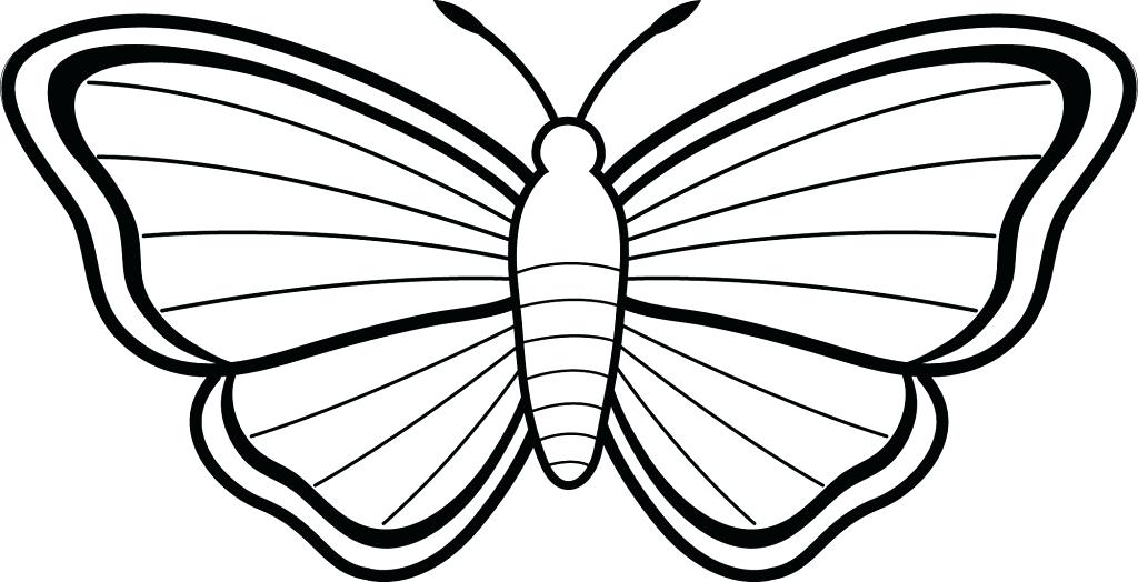 1024x524 Simple Drawing Of Butterfly