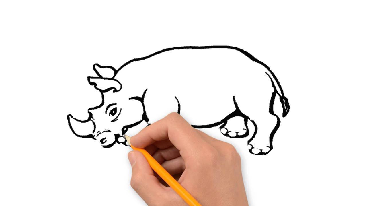1280x720 Rhino Animals Pencil To Draw Step