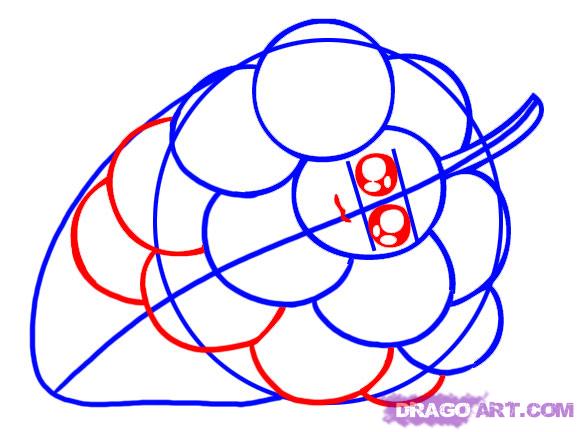 579x432 Draw Grapes, Step