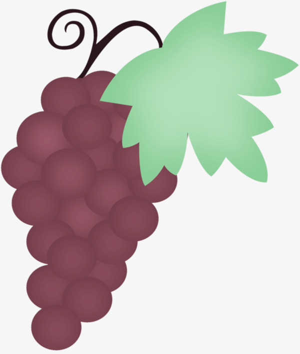600x709 Drawing Grapes, Grape, Purple, Green Leaves Png Image And Clipart