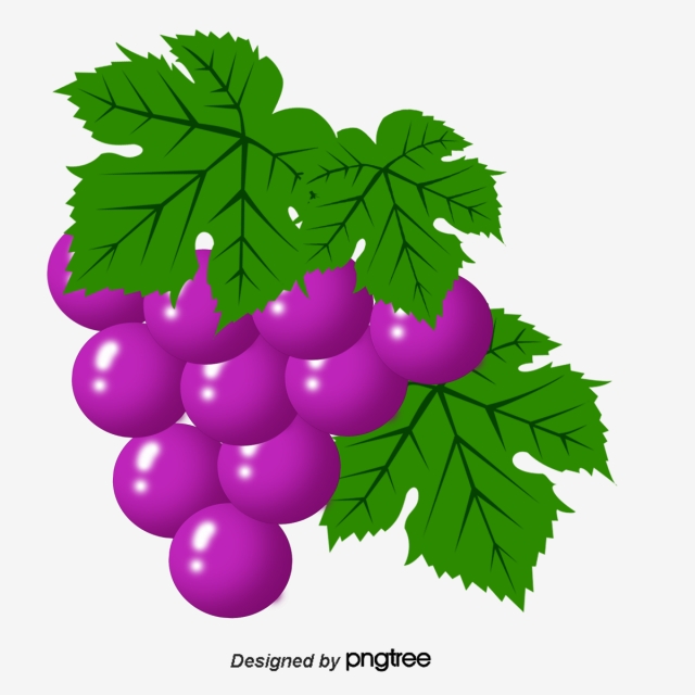 640x640 Drawing Grapes, Water Color, Grape, Leaf Png And Vector For Free