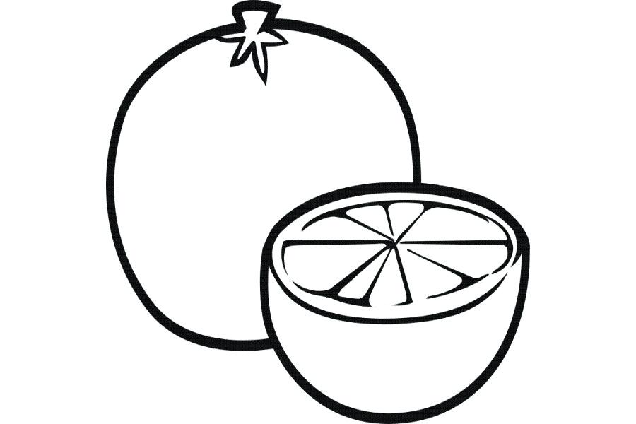 900x600 fruit drawing how to draw fruit fruit basket drawing realistic