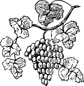 294x299 Grapevine Clipart Drawing For Free Download And Use