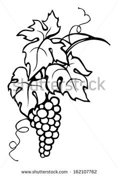 236x352 Best Grape Reference Images Drawings, Embroidery, Vines
