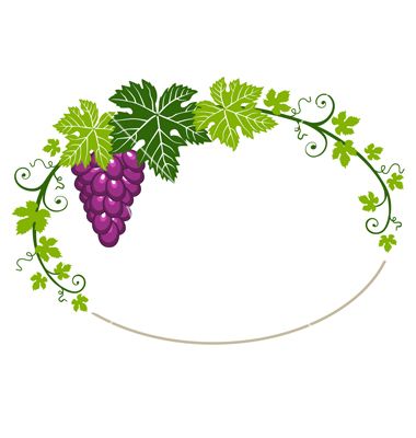 380x400 Vector Grapes Leaves Borders Drawing