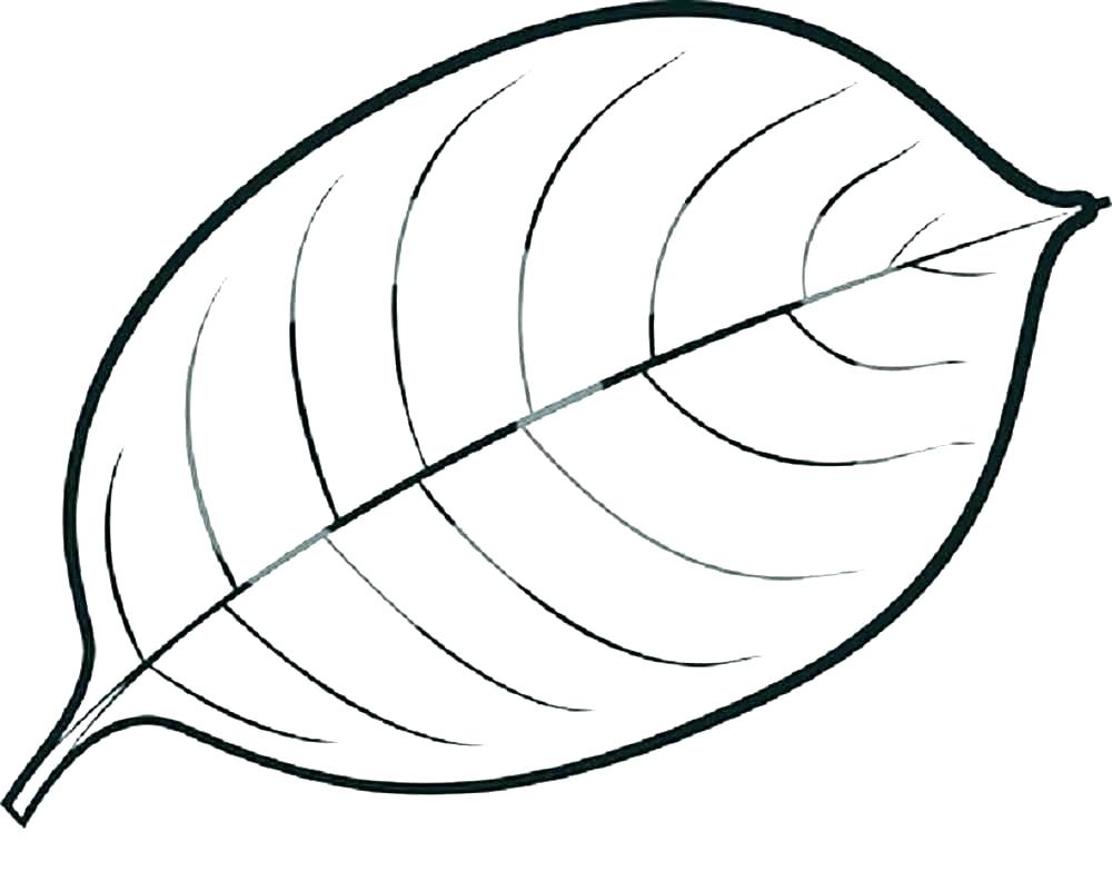 1000x783 colouring pictures of grapes drawn grapes colouring x colouring