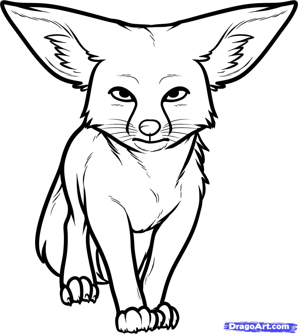 951x1066 Fox Drawing Free Download