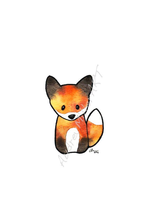 570x812 The Fox