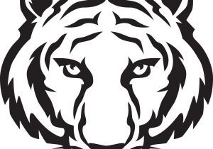 300x210 Tiger Face Sketch