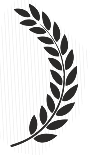 293x500 Morpholio Trace