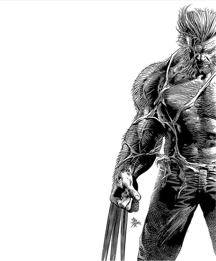 750x906 Pencil Wolverine, Marvel And Comics