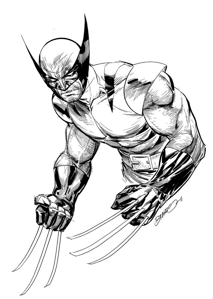 Pencil Drawing Of Wolverine | Free download on ClipArtMag