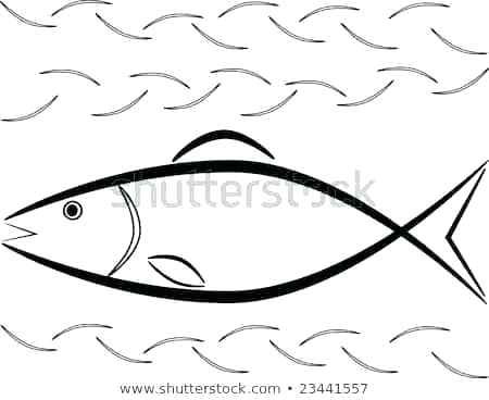 450x368 Simple Fish Outline Simple Fish Outline Beautiful Outline Picture