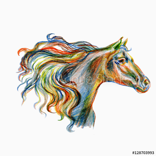500x500 Horse Hand Drawn Colorful Illustration Isolated On White