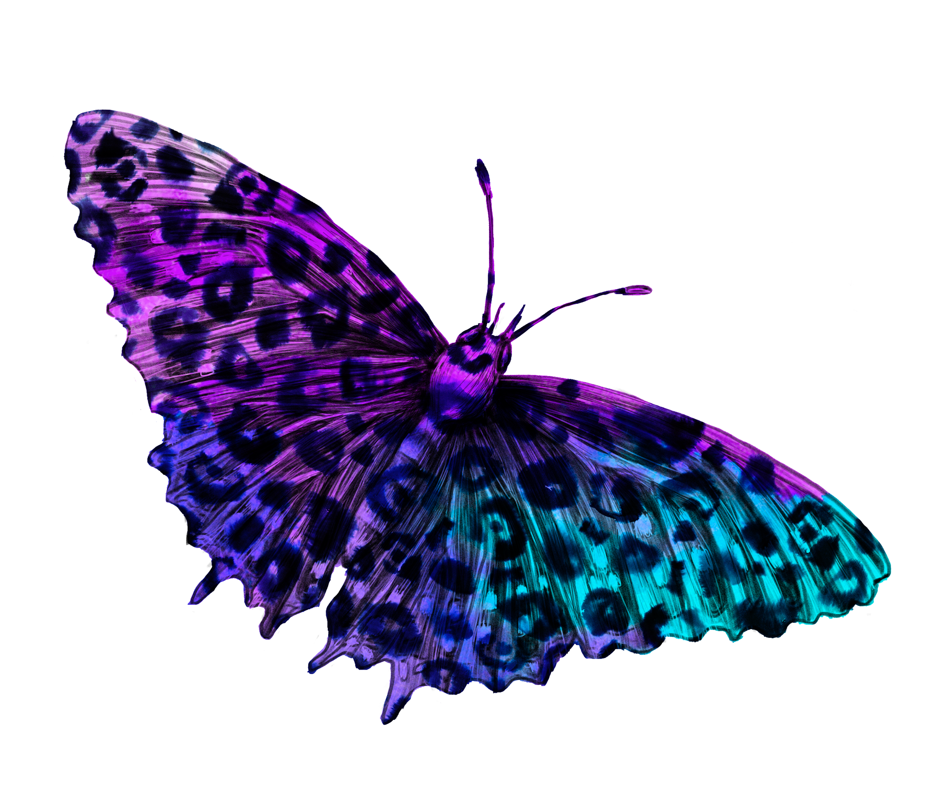 1920x1606 Natasza Salanska