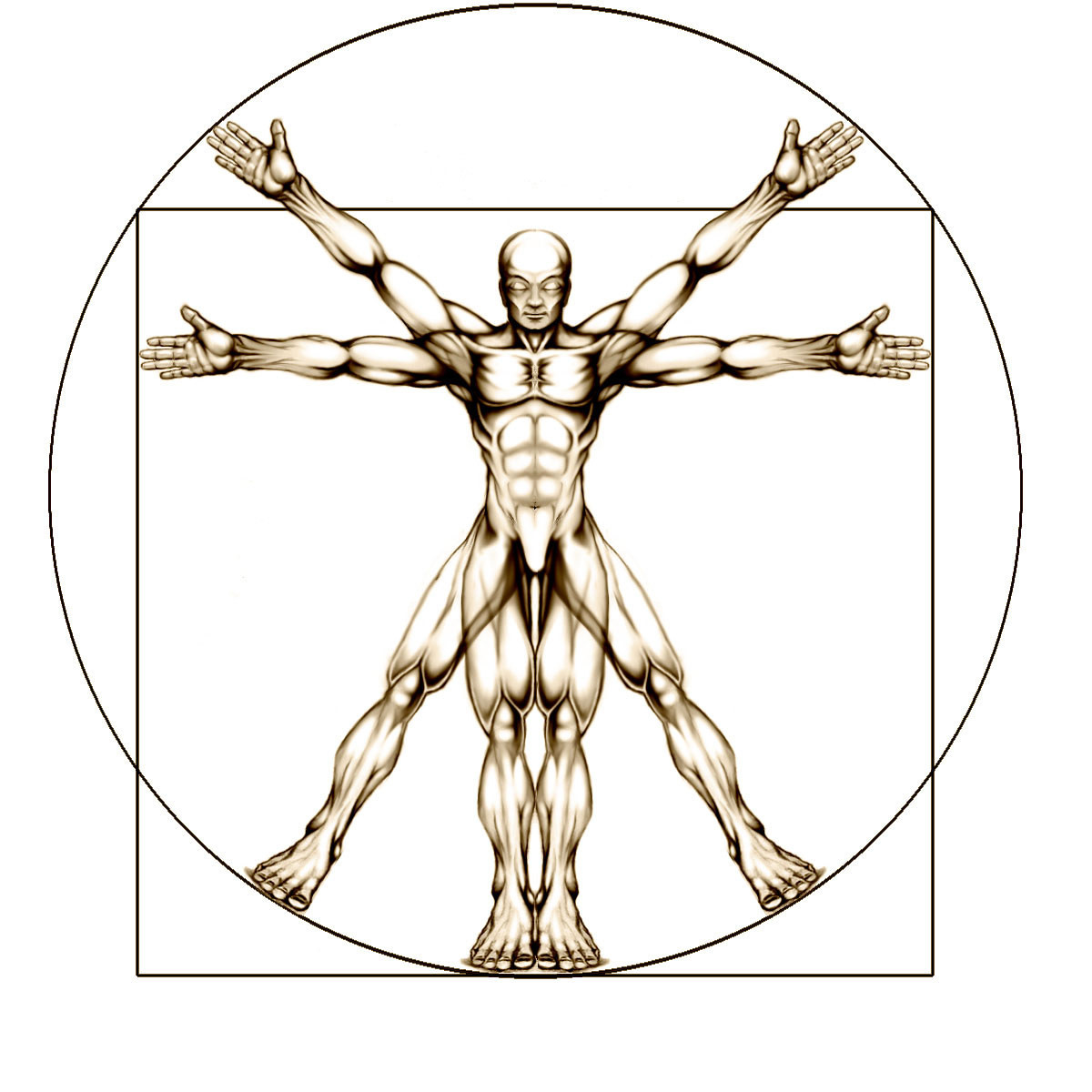 1200x1200 Donald Martinez