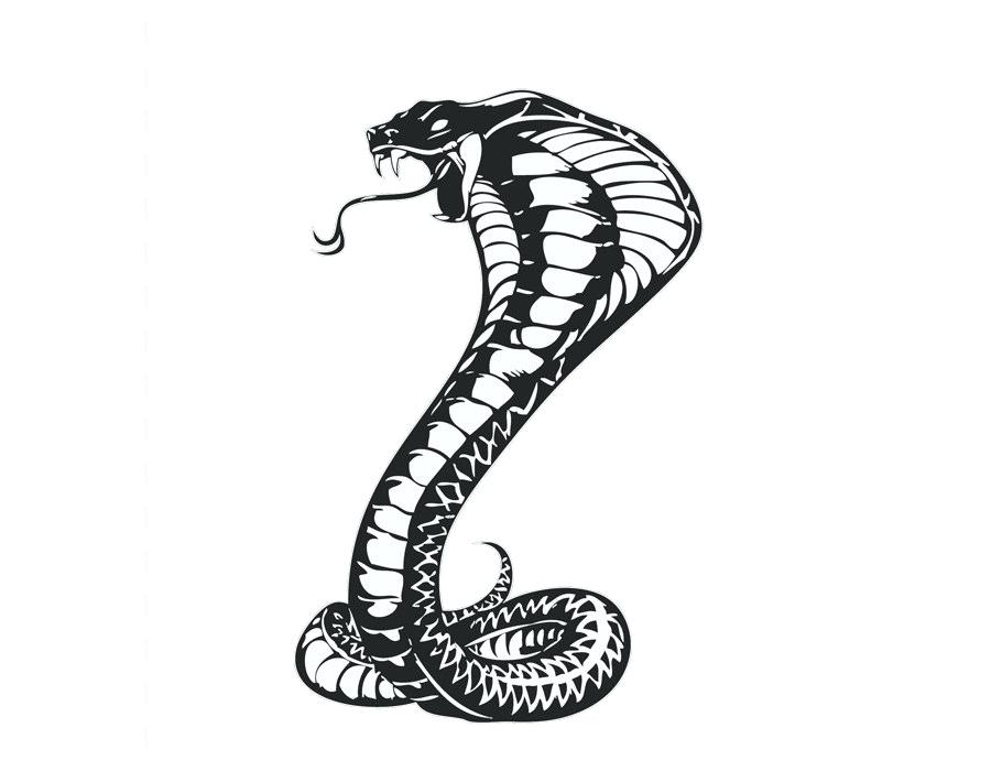 900x700 Drawing Snakes How To Draw A Snake Head Draw Snake Heads Step