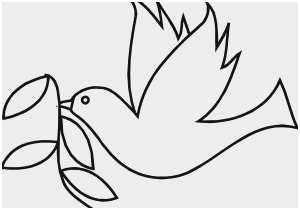 300x210 Cute Easy Drawings Of Birds