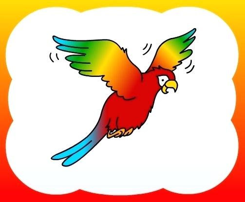 503x415 How To Draw A Parrot How To Draw Parrot Pencil Drawing Of Parrot