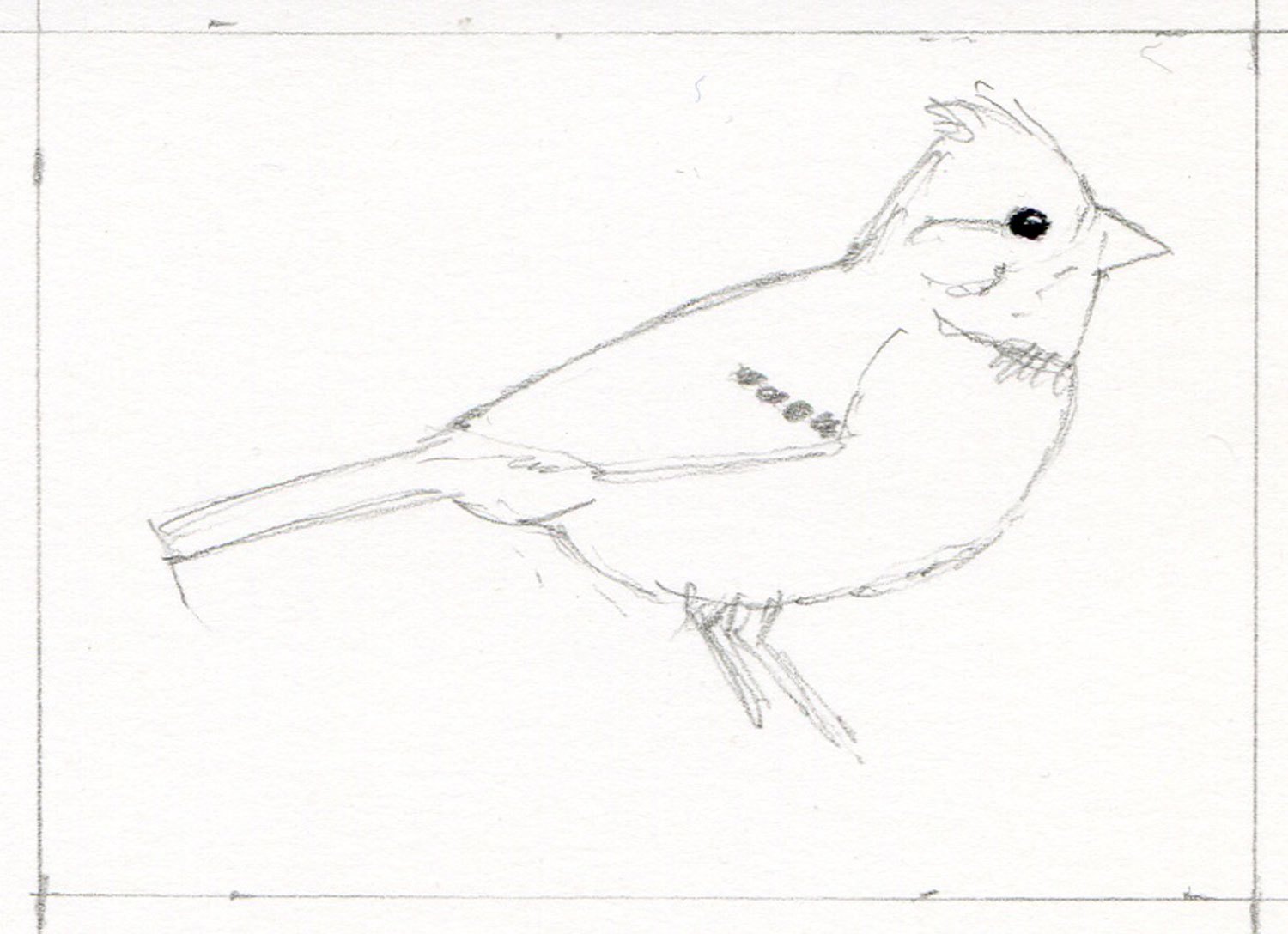 1500x1088 Techniques Ber Van Perlo