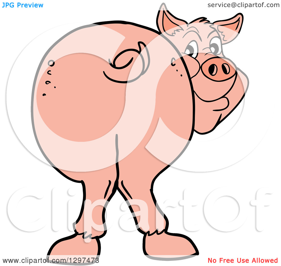 1080x1024 Cute Flying Pig Drawing Wallpaper Pencil Images Guinea Face Baby