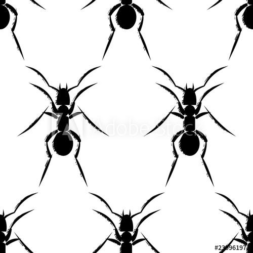 500x500 Seamless Vector Pattern Of Insect, Black And White Hand Drawn Ants