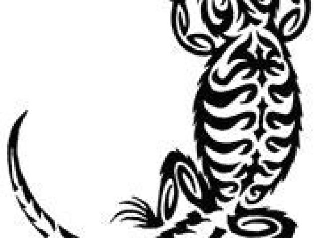 640x480 Pencil Drawings Of Bearded Dragons Tattoos Of Bearded Dragon