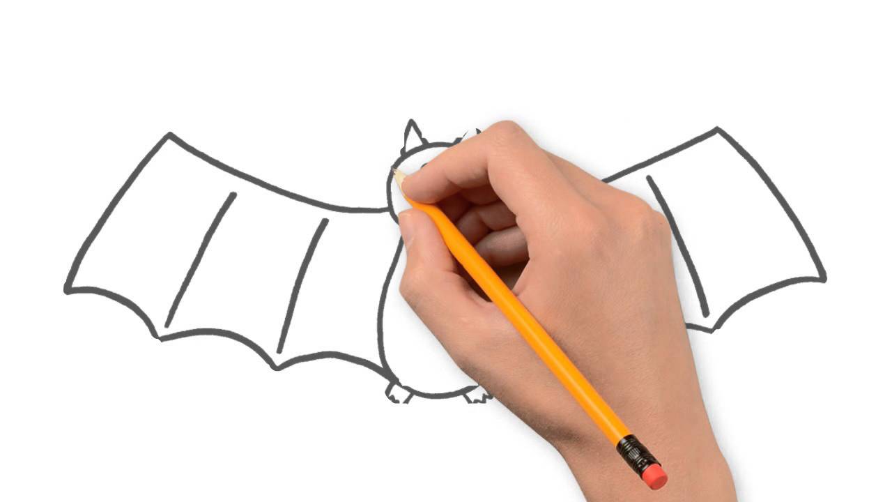 1280x720 Bat Animals Pencil To Draw Step