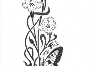 300x210 Drawings Of Flowers And Butterflies Butterfly Pencil Drawing