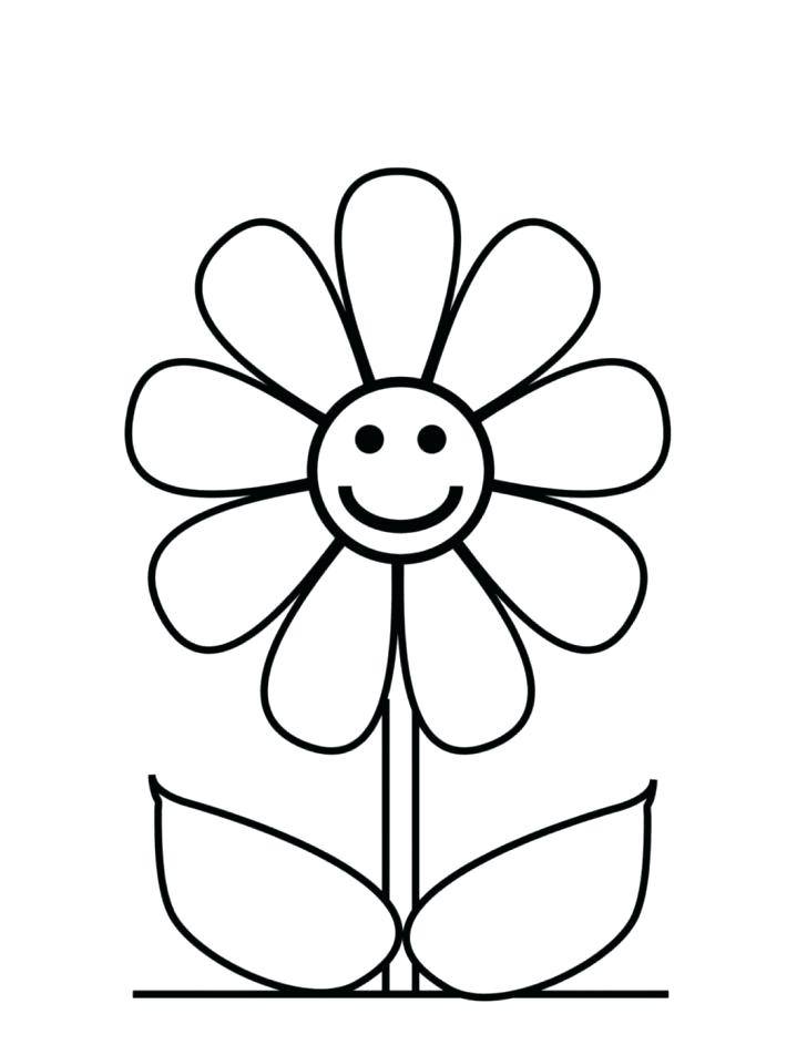 728x952 Easy Drawing Flowers How To Draw Flower Designs Easy Drawing