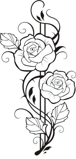 260x540 Drawing Flower Rose How To Draw Flowers Step