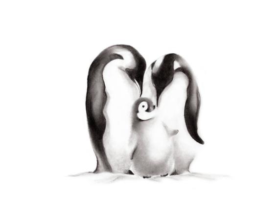 570x448 Penguin Nursery Pencil Drawing Print Penguin Family Mother Etsy
