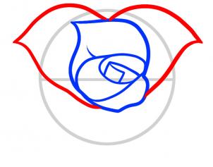 302x237 How To Draw A Heart Rose, Rose Heart, Step