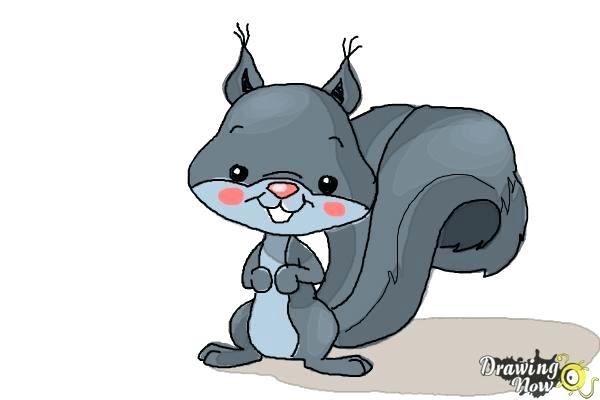 600x400 How To Draw Squirrels Squirrel Drawing Step