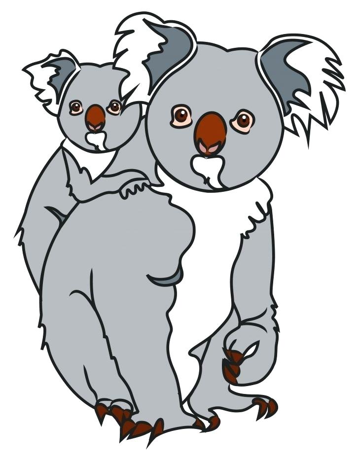 728x937 Koala Drawings Cute Koala Drawing Step