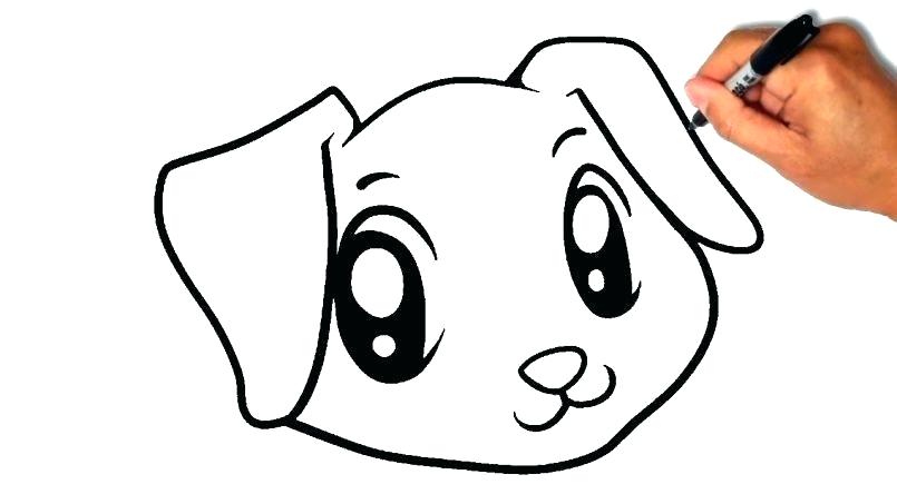 805x453 Easy Drawings Of Pitbulls