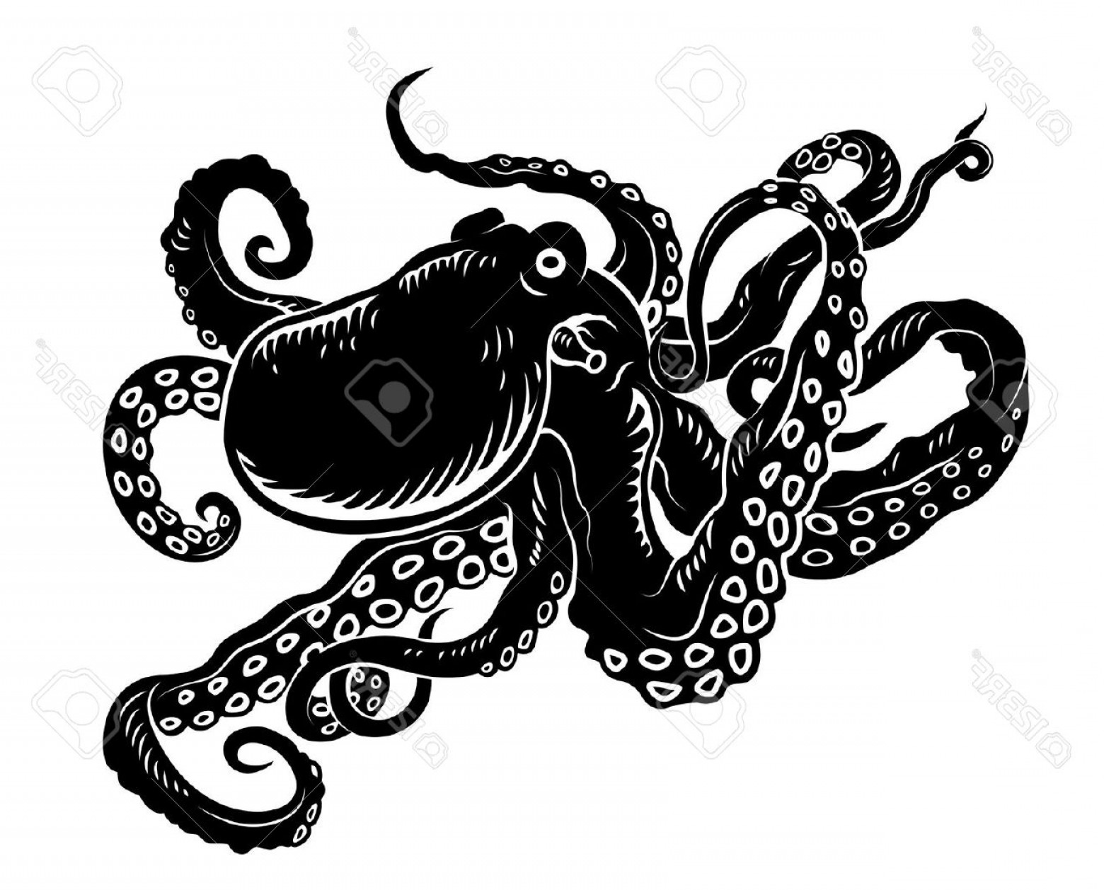 1560x1258 Crafty Design Octopus Clipart Black And White Tattoo Pencil