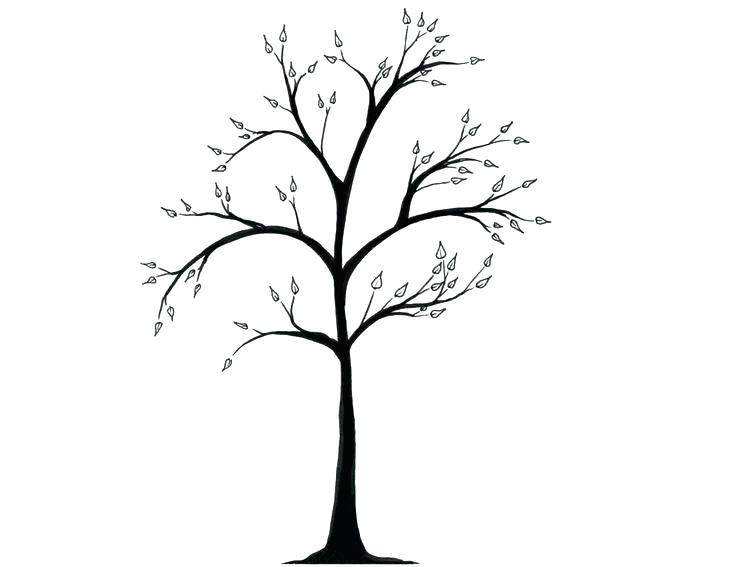 736x567 Simple Trees Drawing Tree Draw Tree Trunk Simple Drawing Of A Tree