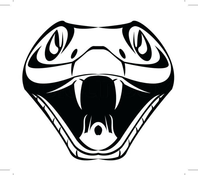 678x600 Snake Drawings Snake Tattoos Designs Tumblr