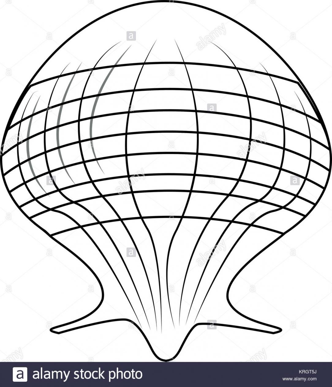 1084x1262 Conch Shell Drawing Easy Horn Line Pencil For Clipart