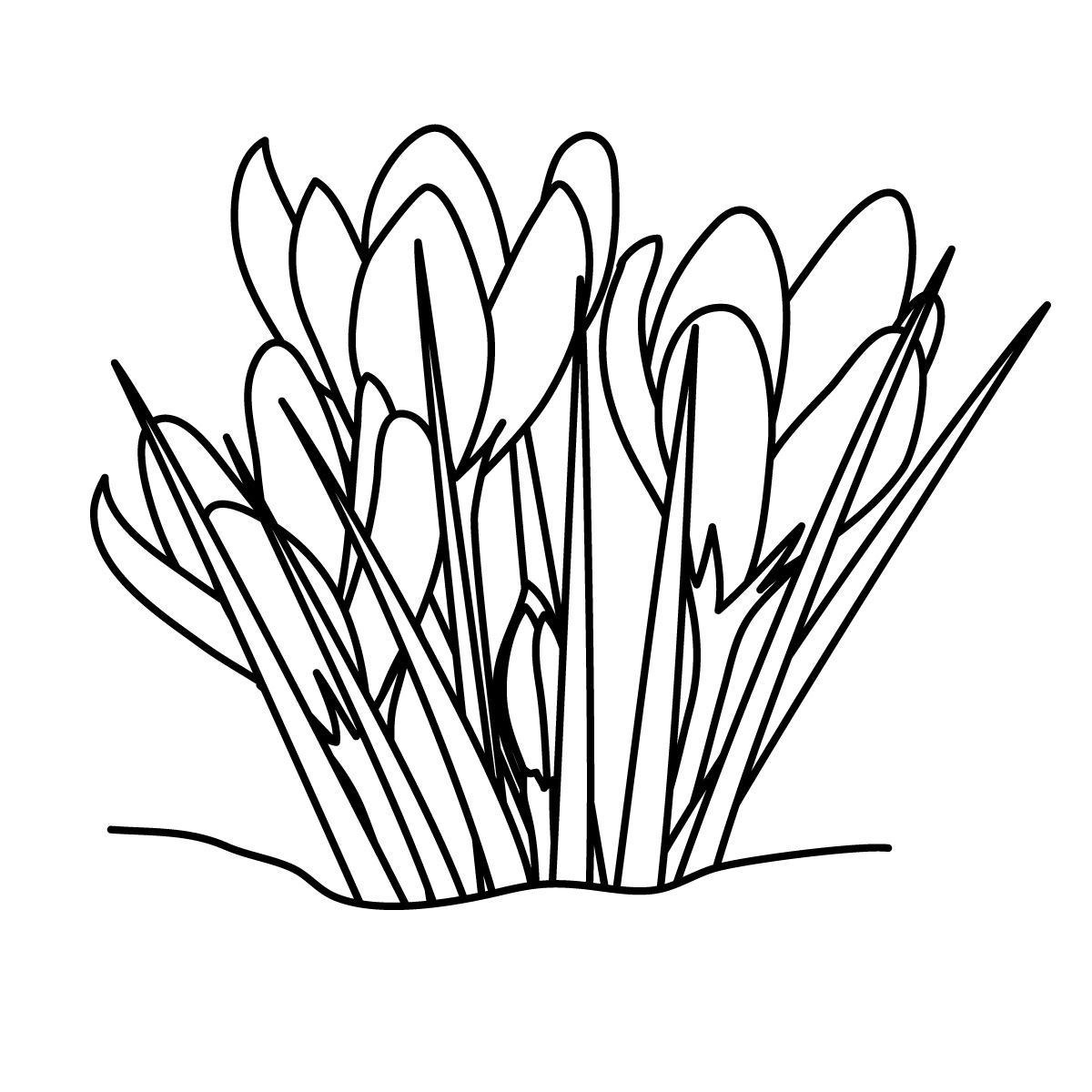 1200x1200 Grass Black And White Grass Clipart Line Drawing Pencil