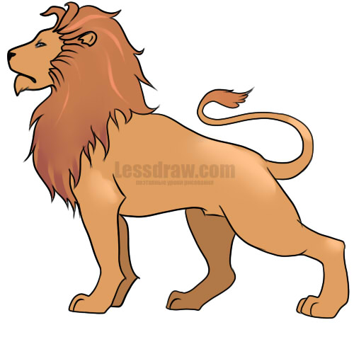 500x500 How To Draw A Lion