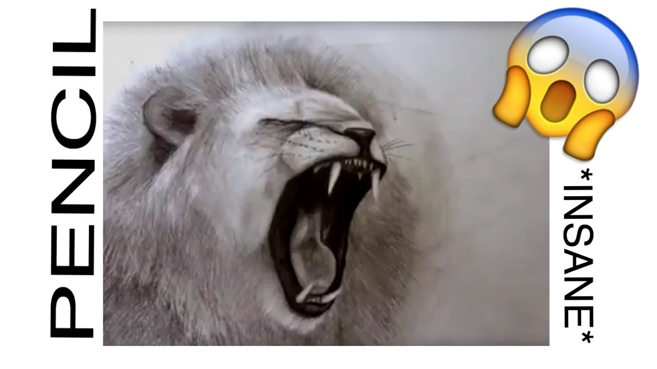 1280x720 Pencil Drawing Of Lion Insane!