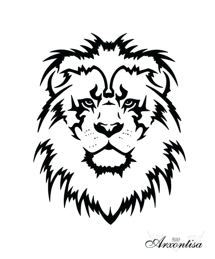 736x884 Simple Lion Sketch Images