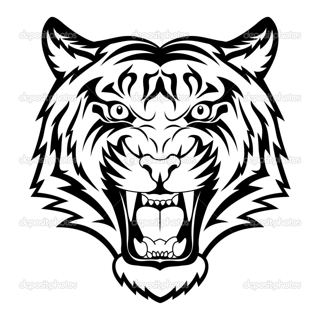 1024x1024 White Tiger Clipart Pencil Drawing