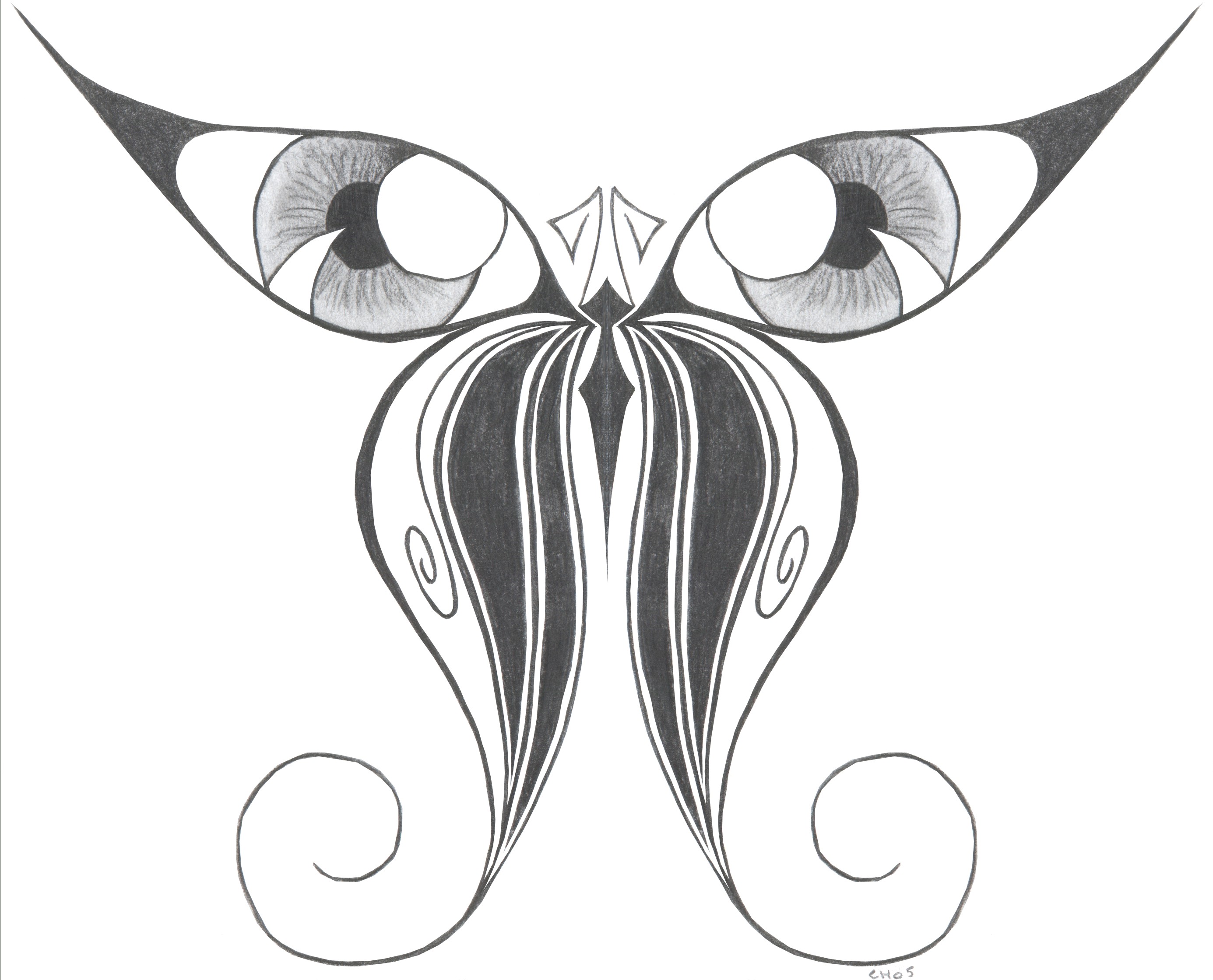 2771x2240 Butterflies Drawings Refrence Sketch Butterfly Pencil Drawing